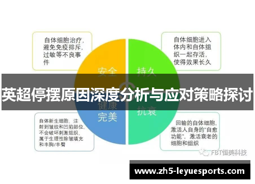 英超停摆原因深度分析与应对策略探讨