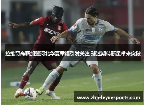 拉维奇高薪加盟河北华夏幸福引发关注 球迷期待新星带来突破